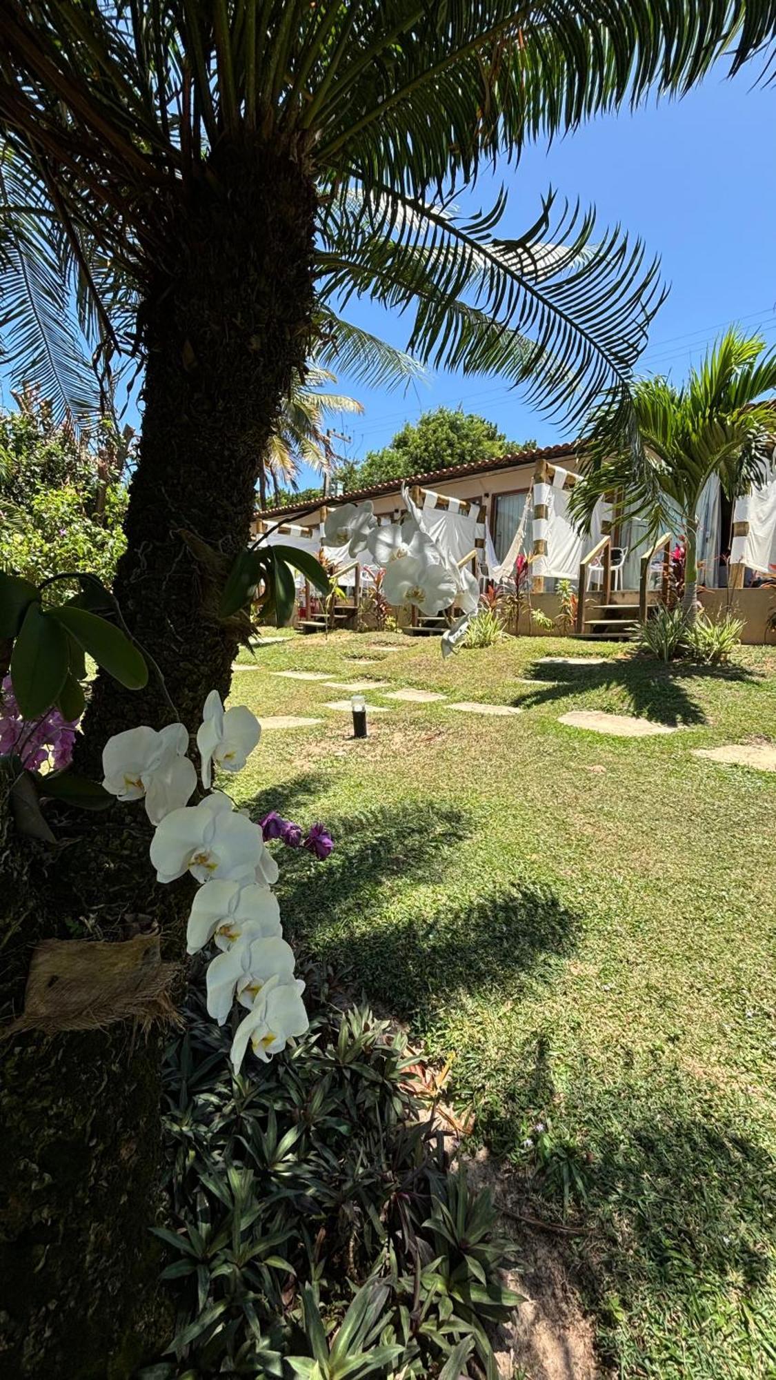 达皮巴酒店 Praia de Pipa 外观 照片