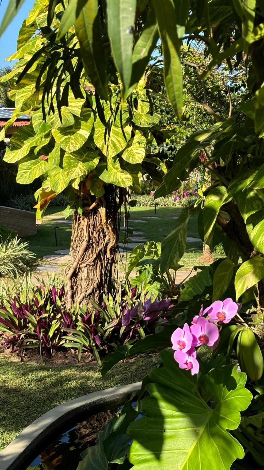 达皮巴酒店 Praia de Pipa 外观 照片